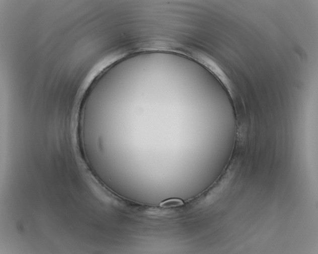 X0000113331146200910051141