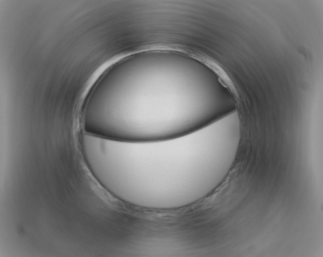 X0000113331148200910051141