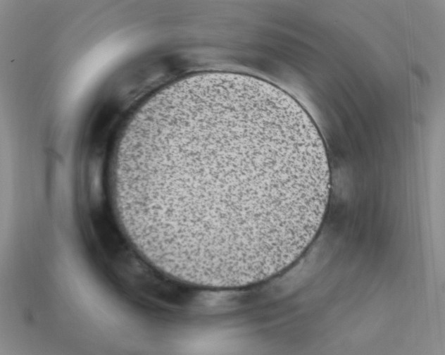 X0000113331150200910051141