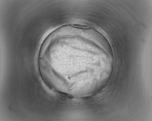 X0000113331152200910051141