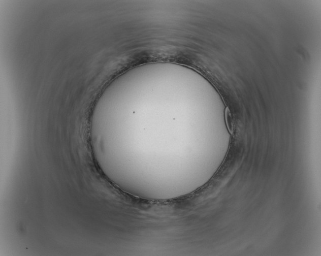 X0000113331153200910051140