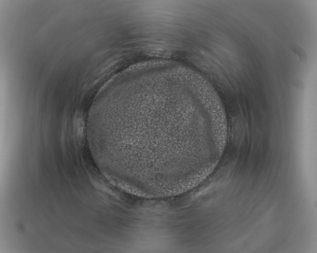 X0000113331154200910051140
