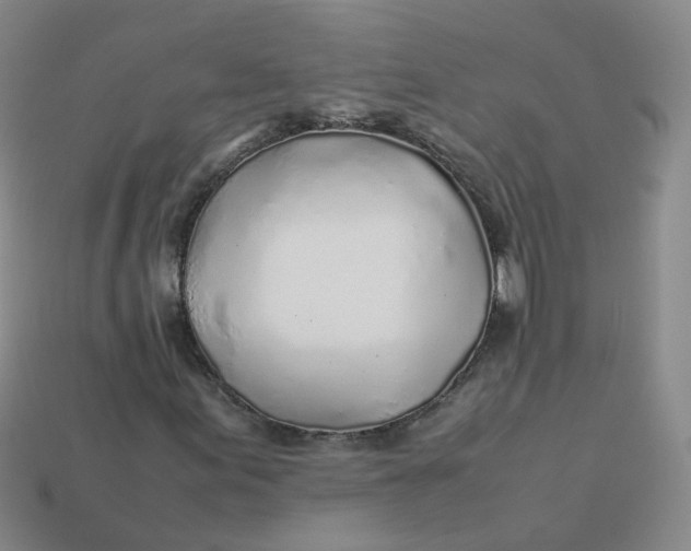 X0000113331155200910051140