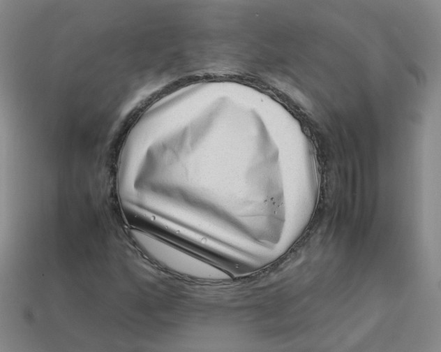 X0000113331160200910051140