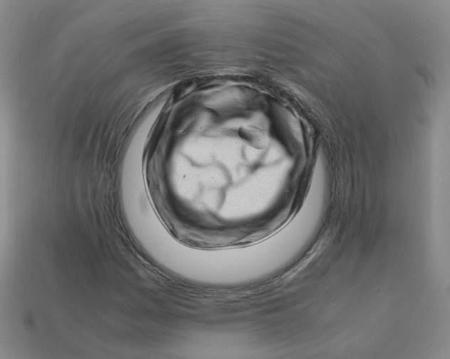 X0000113331161200910051140