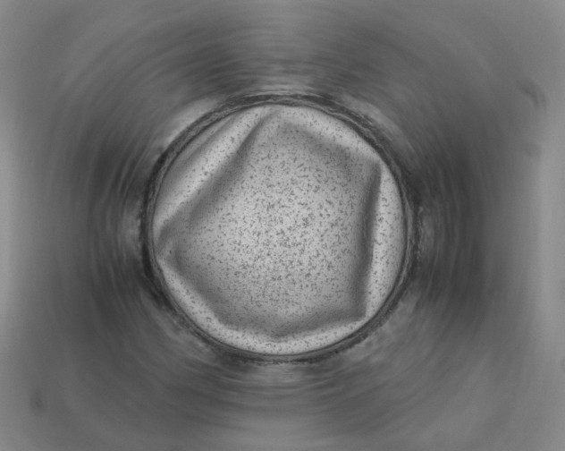 X0000113331162200910051140