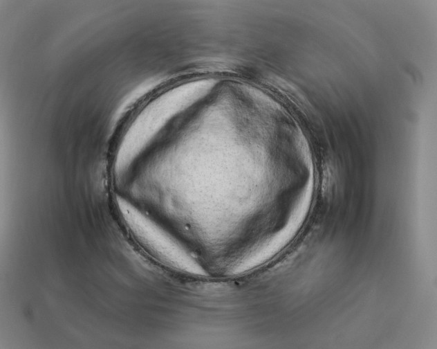 X0000113331164200910051140