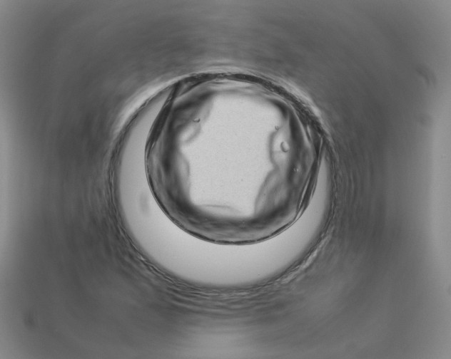 X0000113331167200910051140