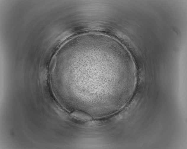 X0000113331169200910051140