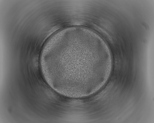 X0000113331170200910051140