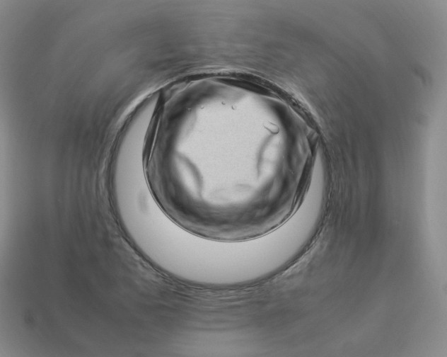 X0000113331173200910051140