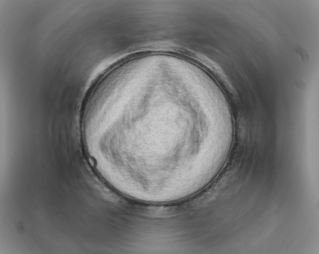 X0000113331176200910051140
