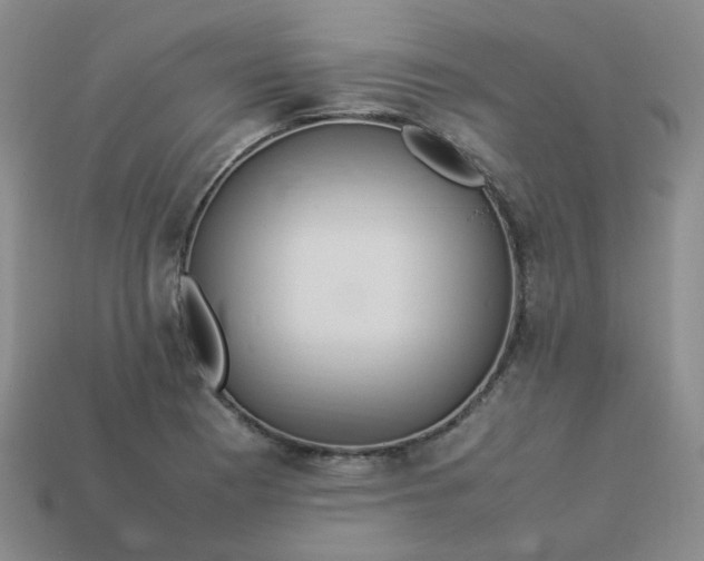 X0000113331177200910051140