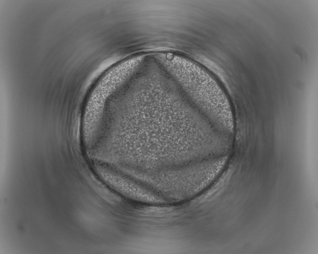 X0000113331179200910051140