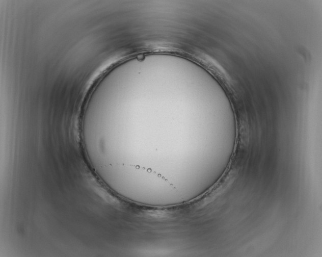X0000113331182200910051140