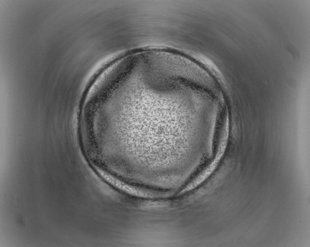 X0000113331183200910051140