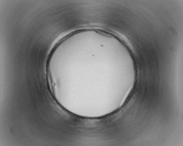X0000113331184200910051140