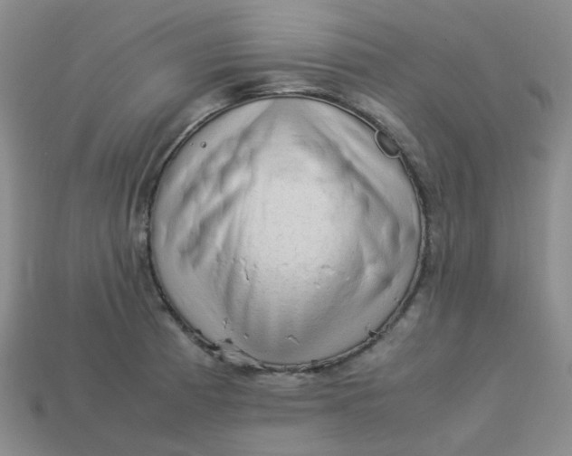 X0000113331185200910051140