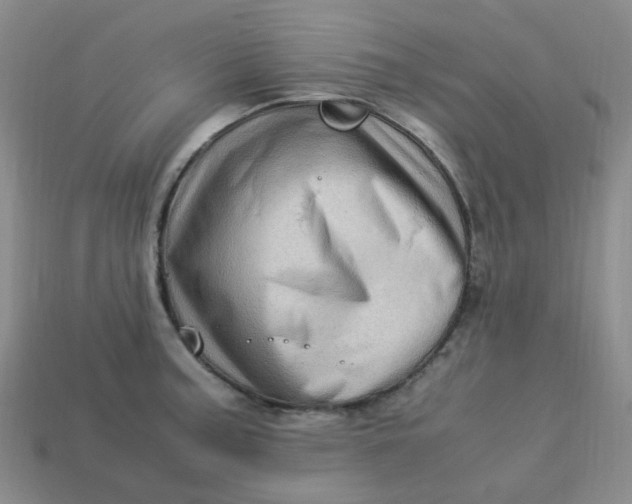 X0000113331187200910051140