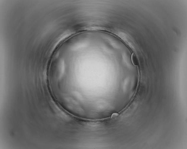 X0000113331189200910051140