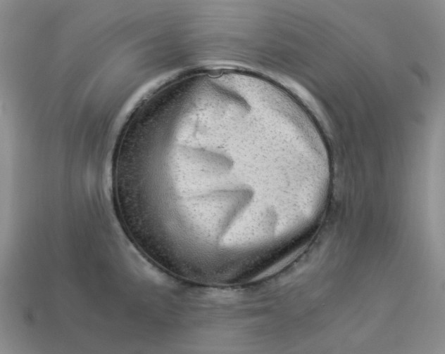 X0000113331191200910051140