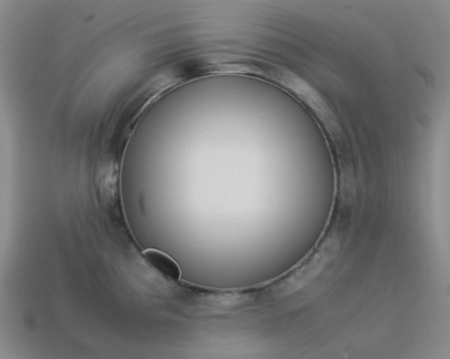 X0000113331193200910051140