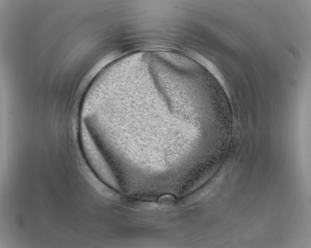 X0000113331195200910051139