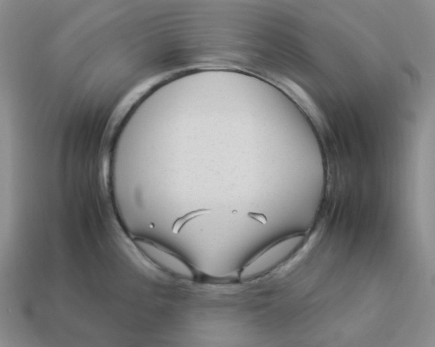X0000113331196200910051139
