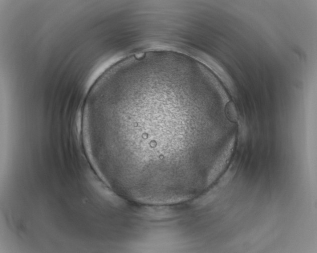 X0000113331198200910051139