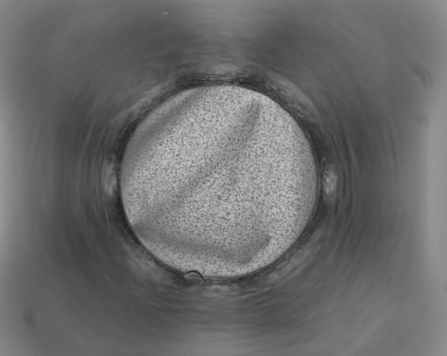 X0000113331204200910051139
