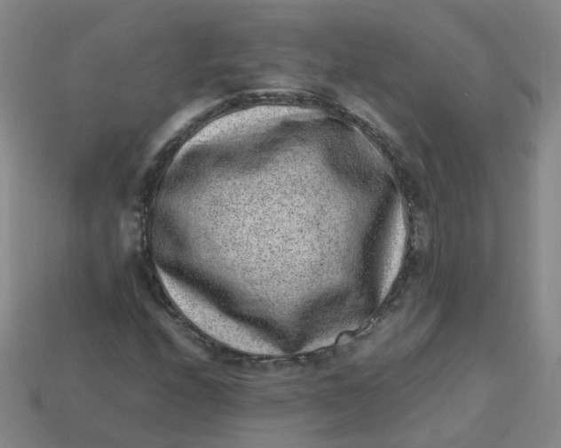X0000113331208200910051139