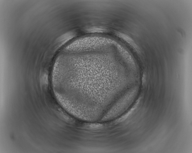 X0000113331209200910051139
