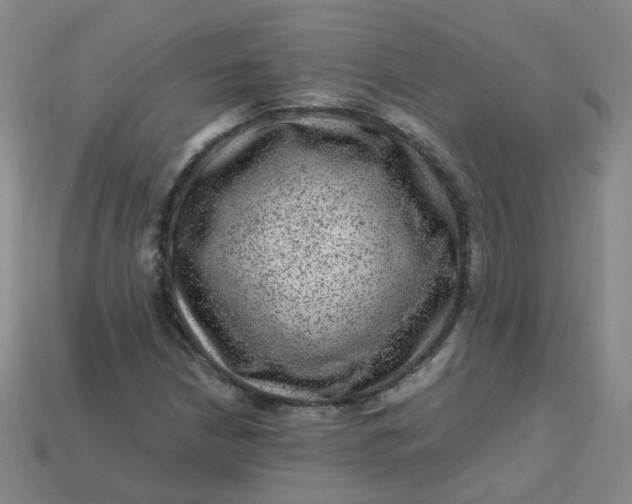 X0000113331210200910051139