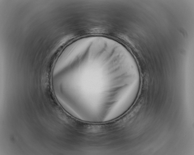 X0000113331211200910051139