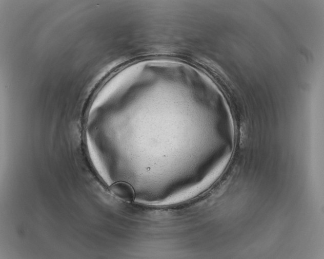 X0000113331212200910051139