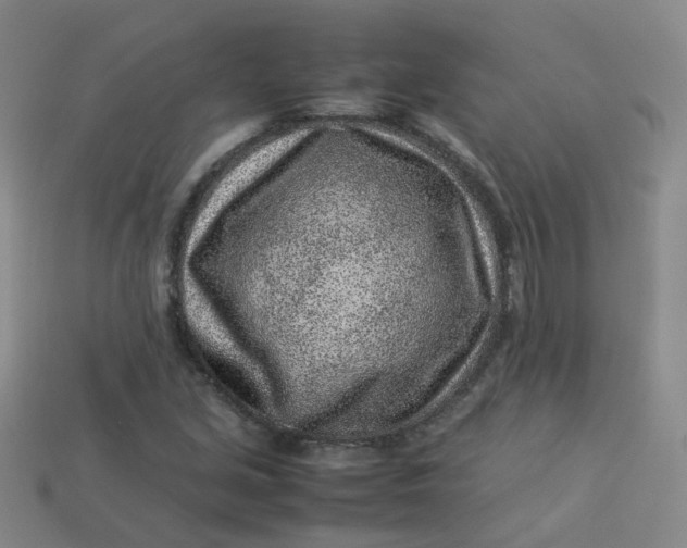 X0000113331213200910051139