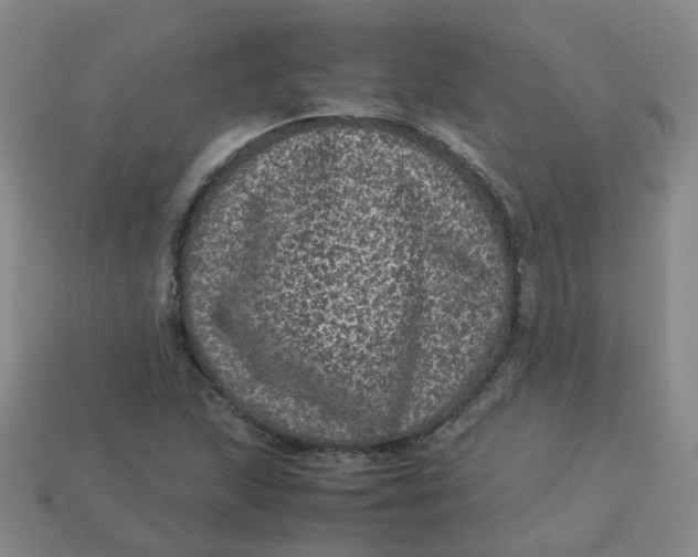 X0000113331215200910051139