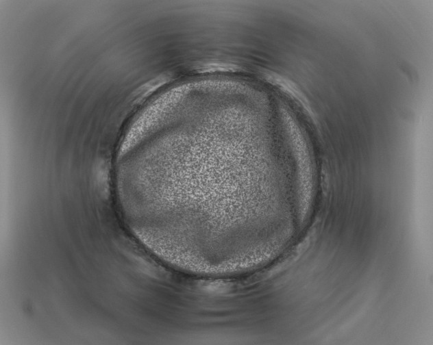 X0000113331217200910051139
