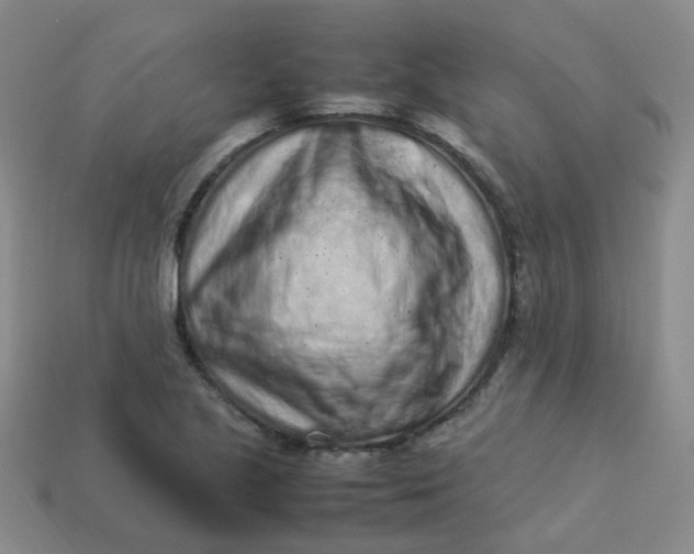 X0000113331221200910051139