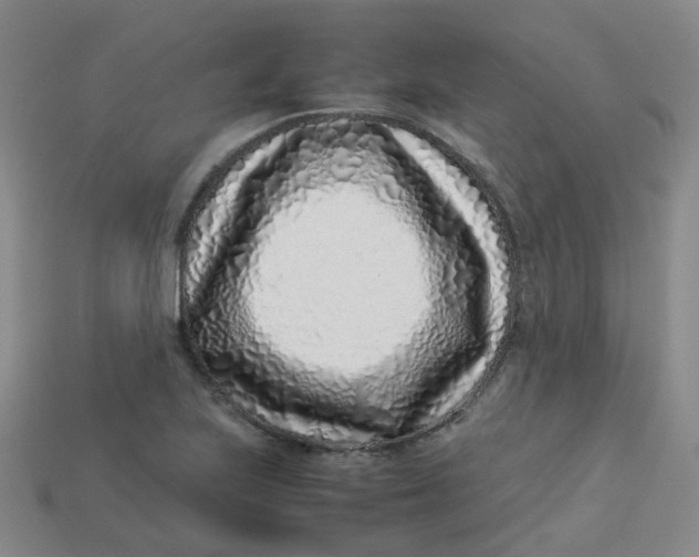 X0000113331223200910051139