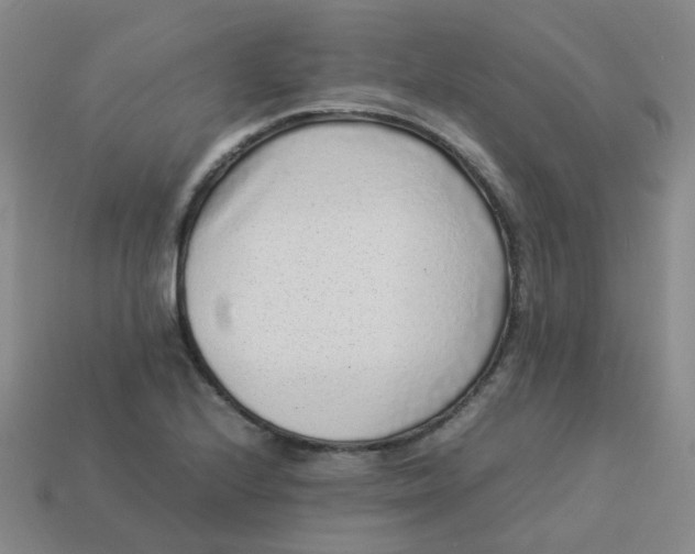 X0000113331224200910051139