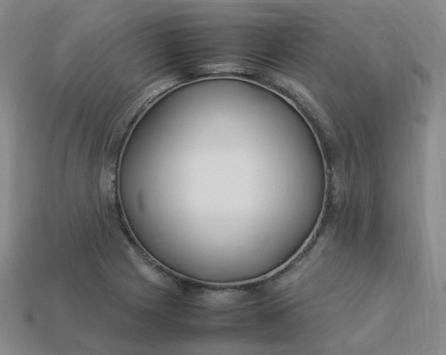 X0000113331225200910051139