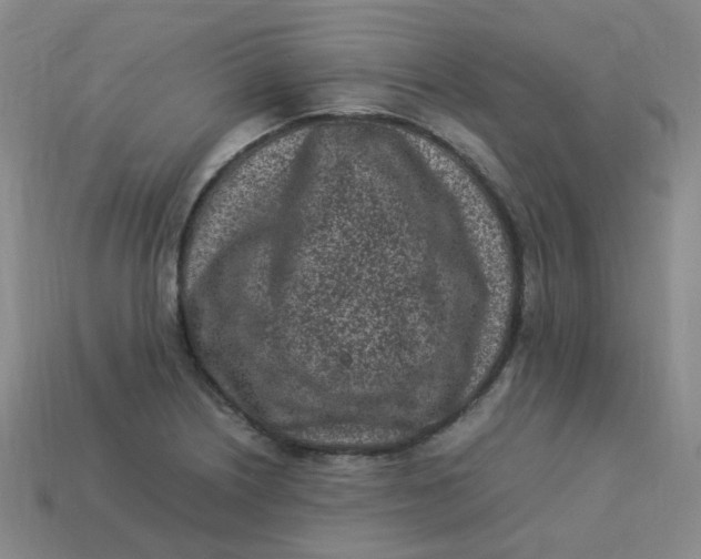 X0000113331226200910051139