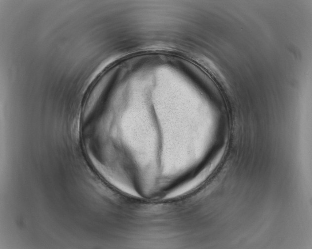 X0000113331228200910051139
