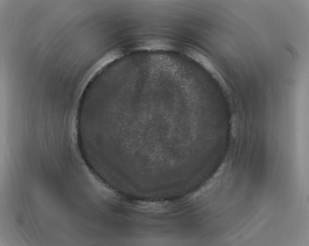 X0000113331229200910051139