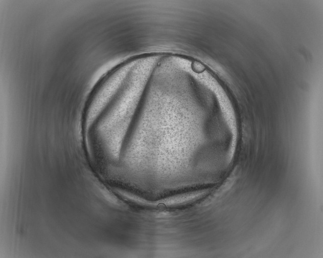 X0000113331230200910051139