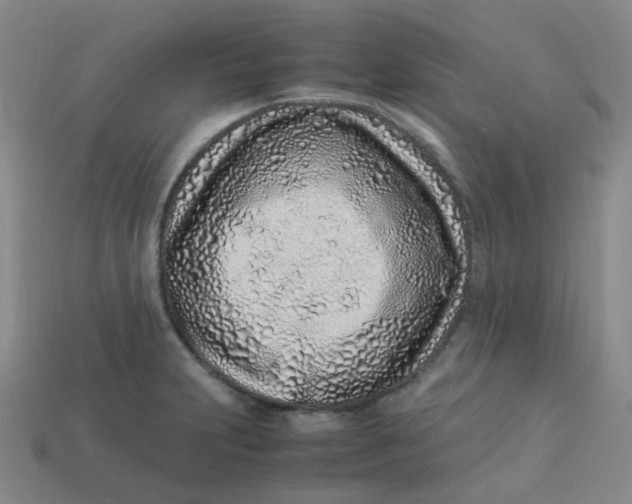 X0000113331231200910051139