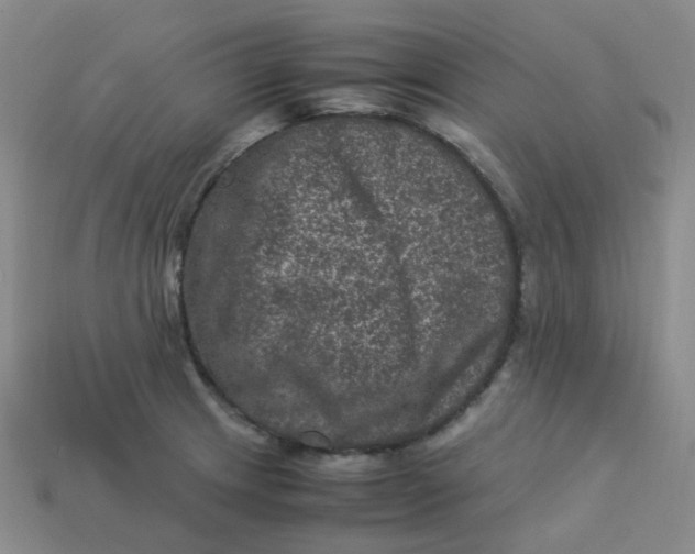 X0000113331233200910051139