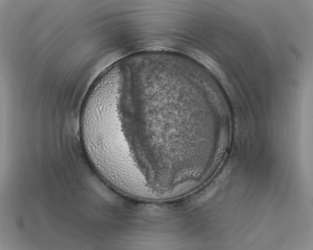 X0000113331234200910051139
