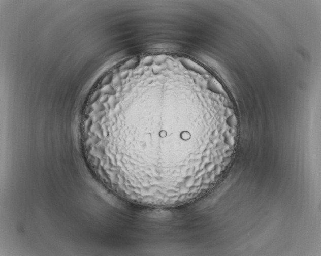 X0000113331235200910051139